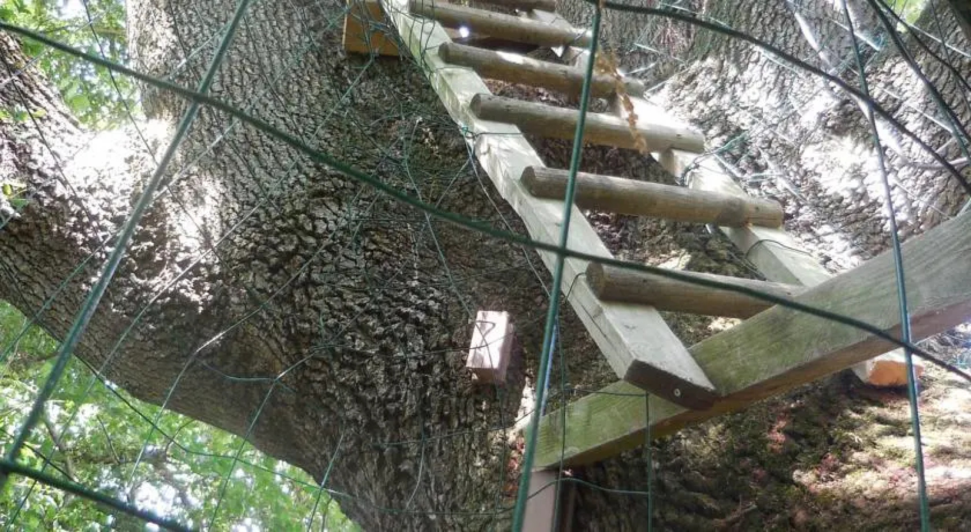 B&B La Cabane Insolite