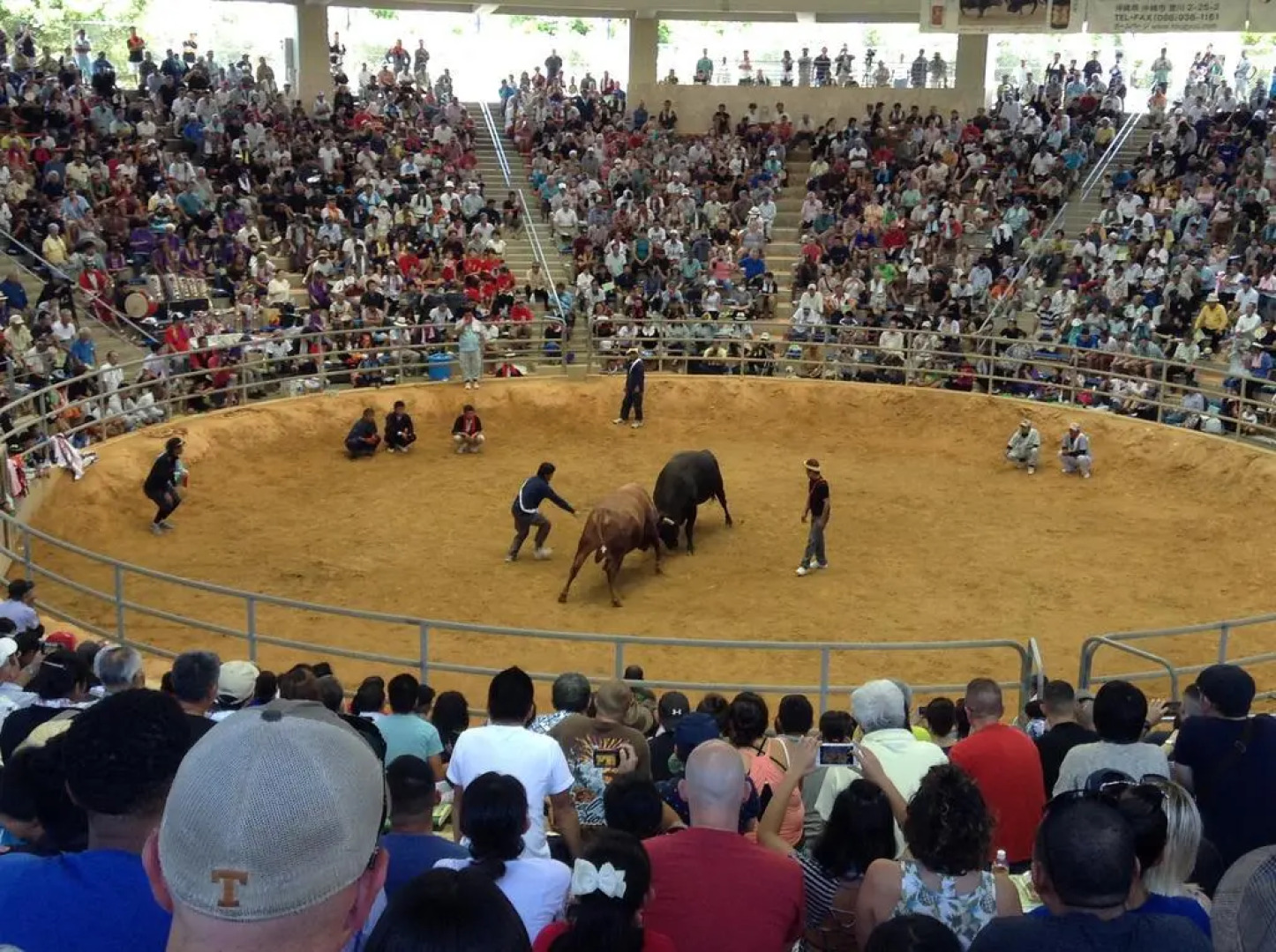 Guesthouse Sunset Hill Bise - Hostel
