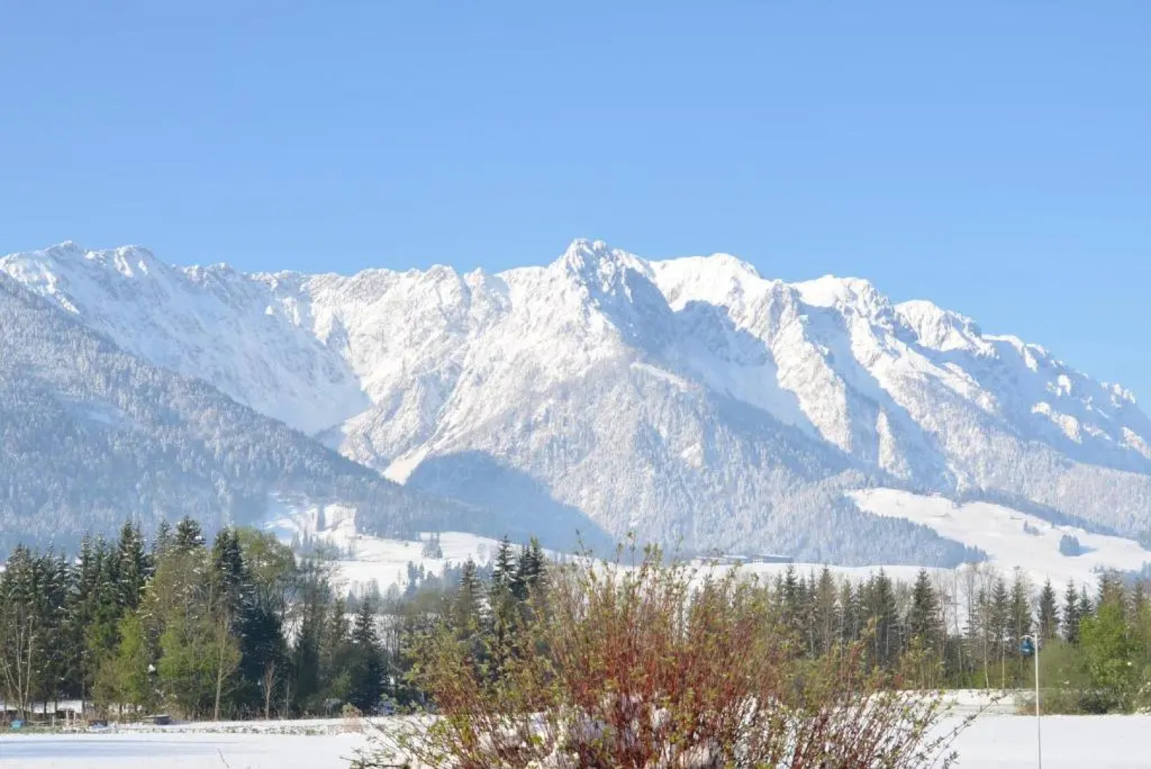 Kaiserwinkl Apartments Daxer