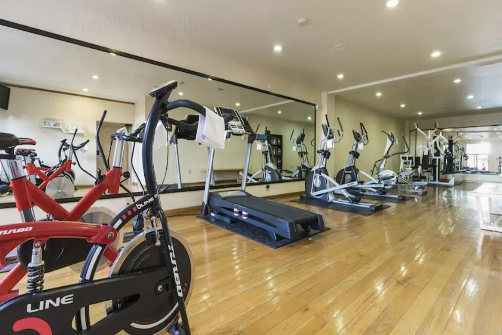 Imperio de Angeles Executive León Poliforum