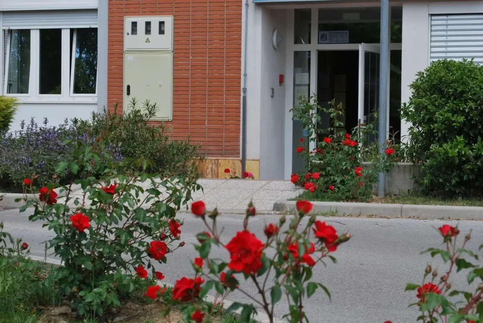 Bed and Breakfast Kogoj