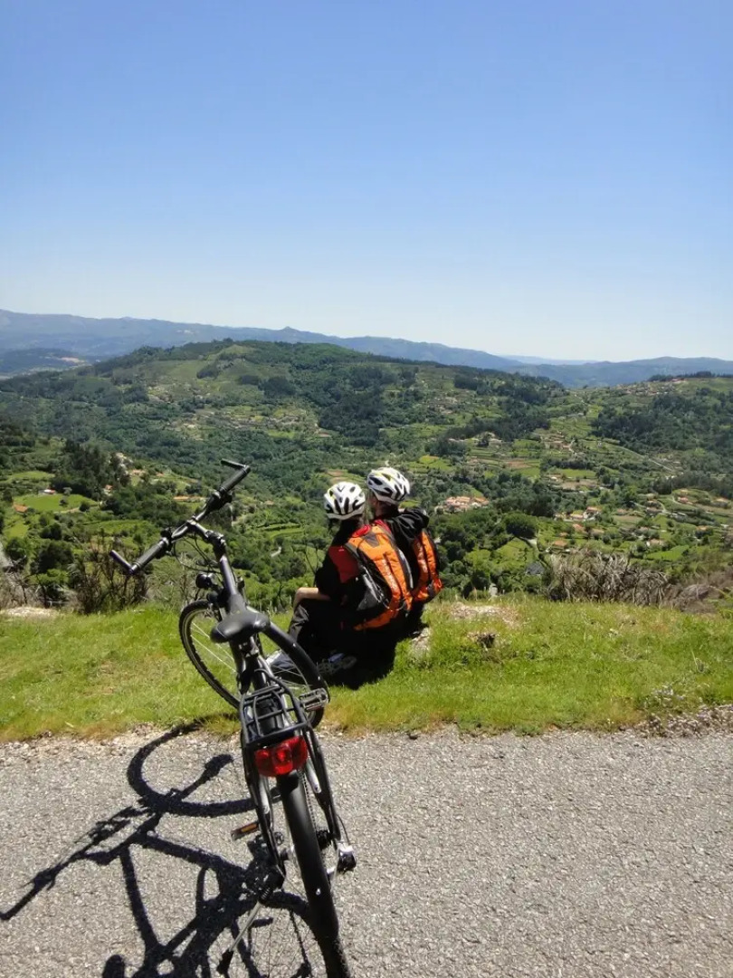 Tree Pool Villa in Arcos de Valdevez