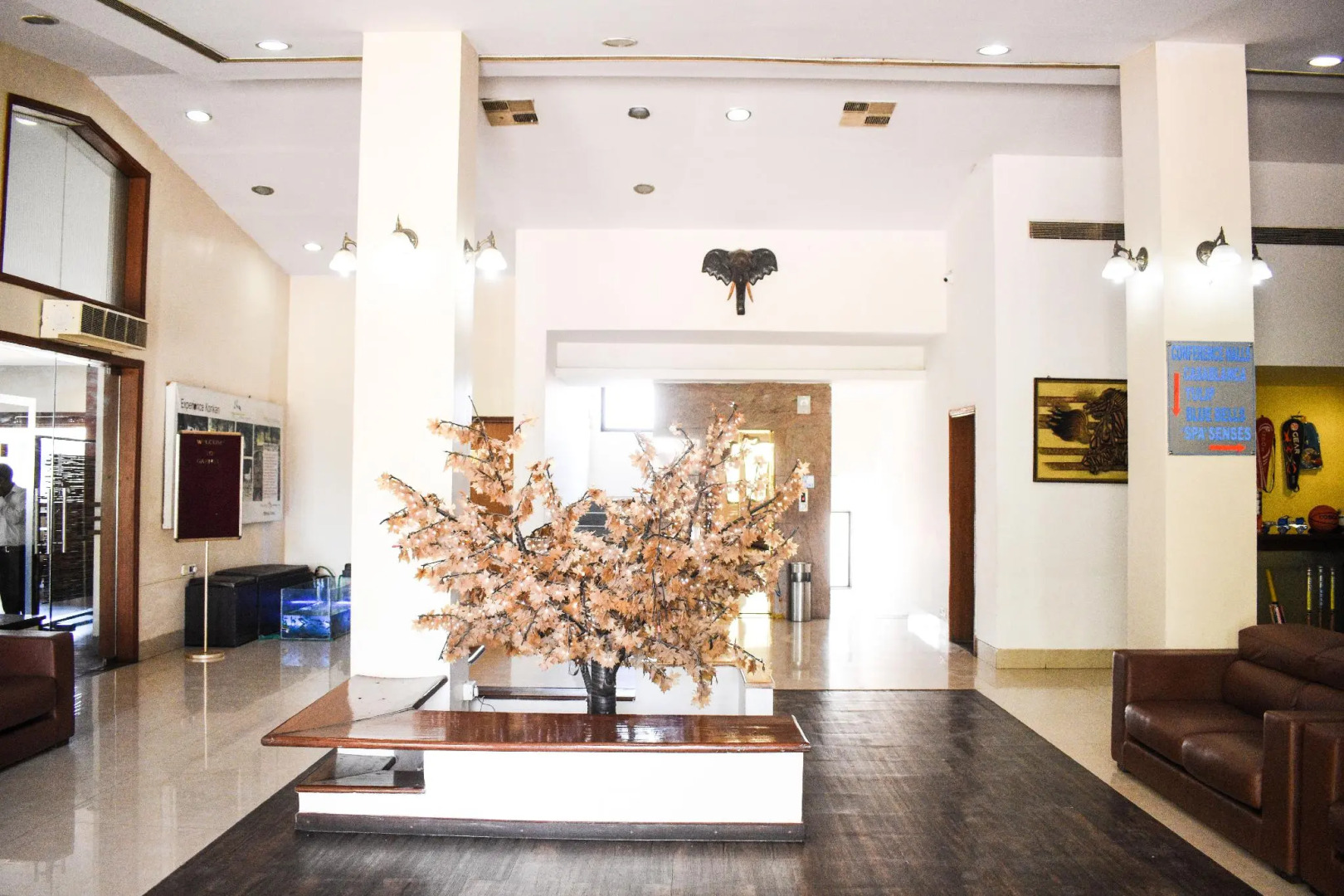 Camel Valley Resort & Spa