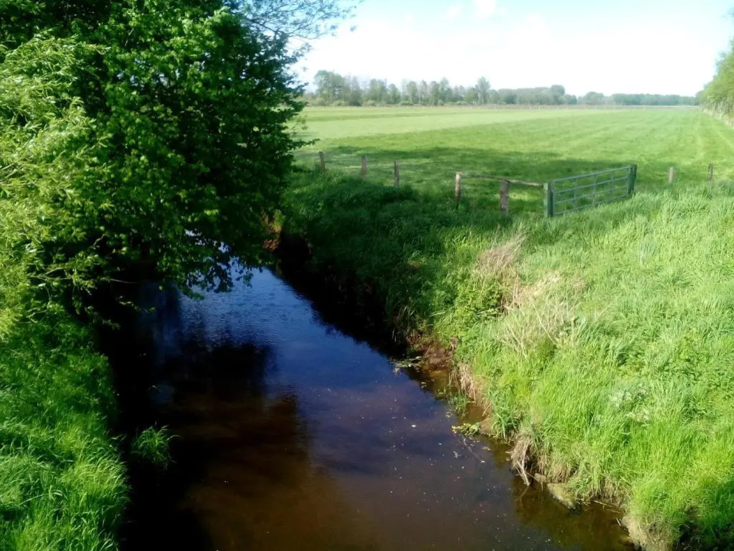 Hotel-Restaurant Lütkebohmert