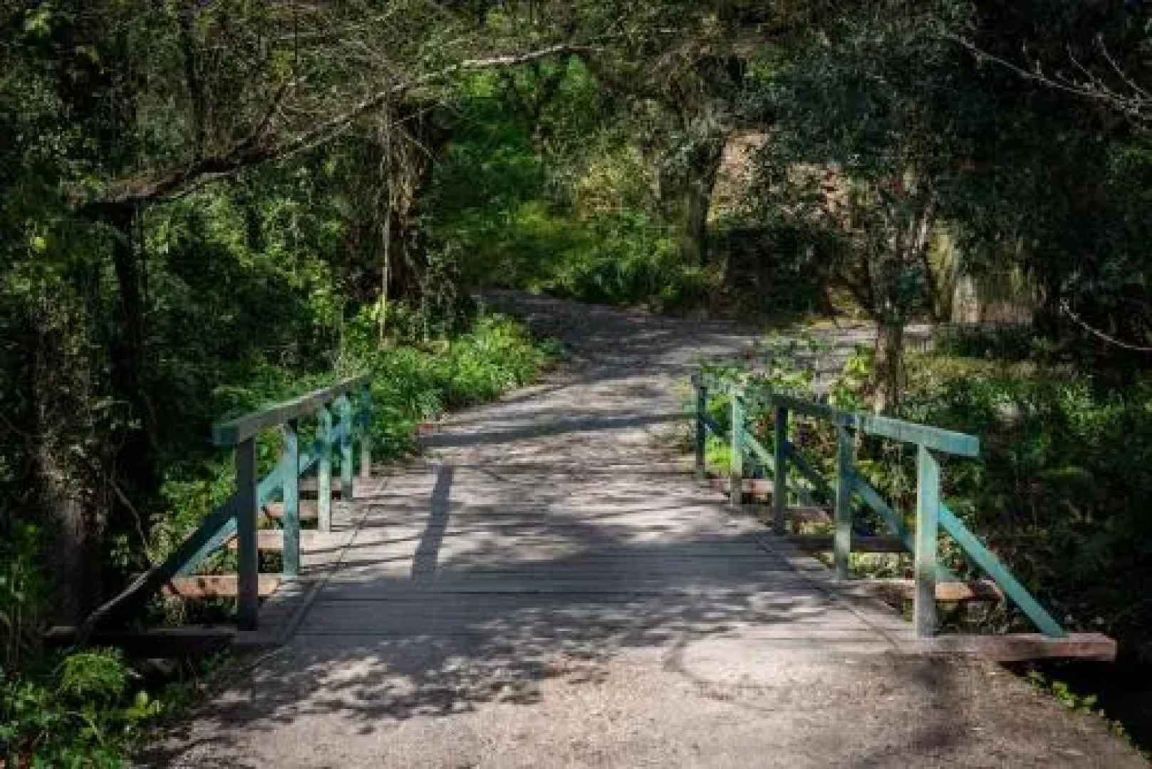Quinta de Mourães Casa dos Rododendros