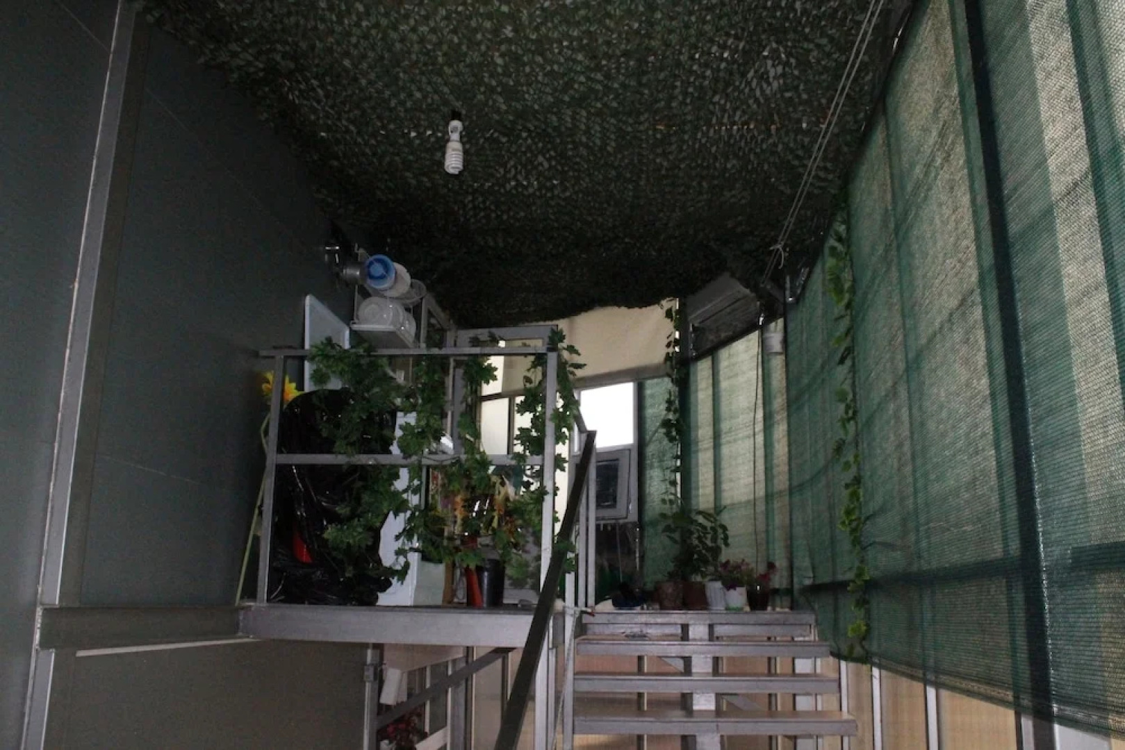 Гостевой дом «Делиф»