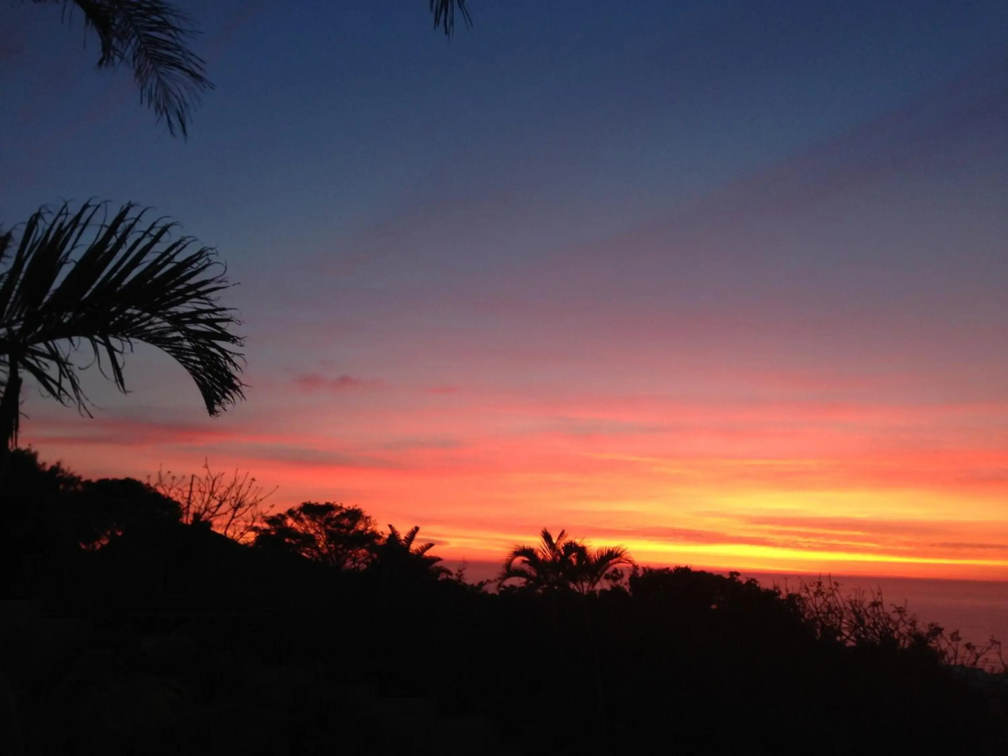 Albatros Guest House, Margate ,, SOUTH AFRICA , KZN NATAL