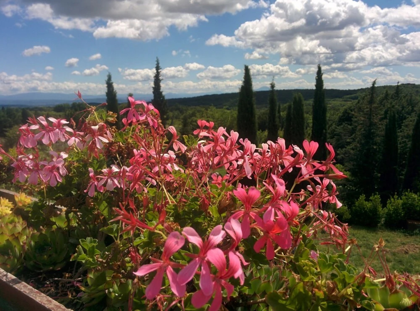 Maison de Dame Tartine