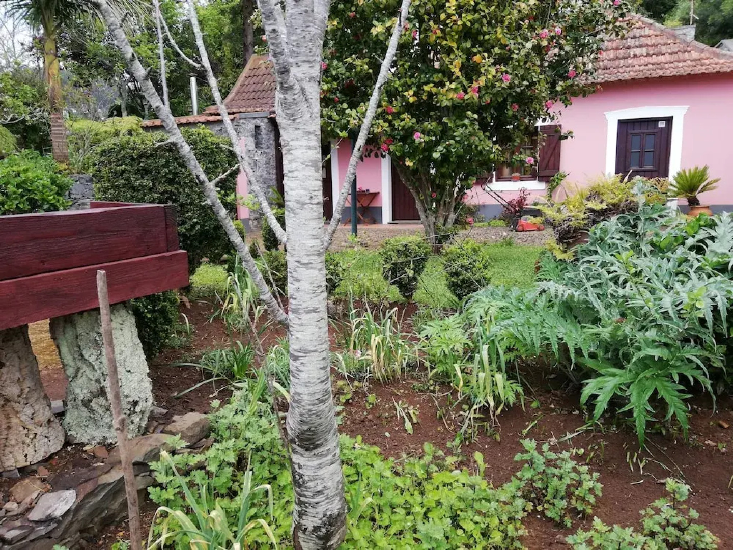 Rural House Casa Rosa