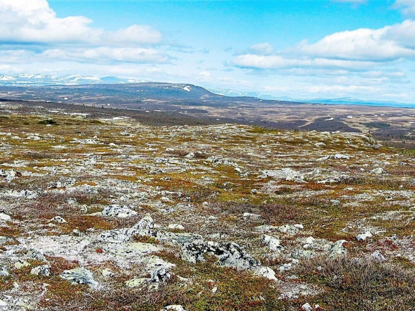 Holiday Home in Gamleby