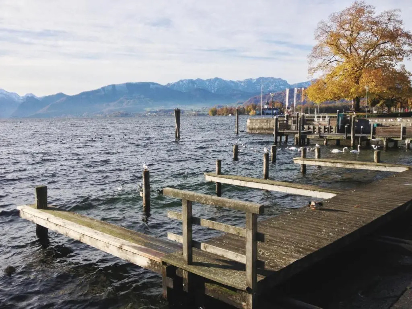SEE 31, Ferienlofts am Traunsee