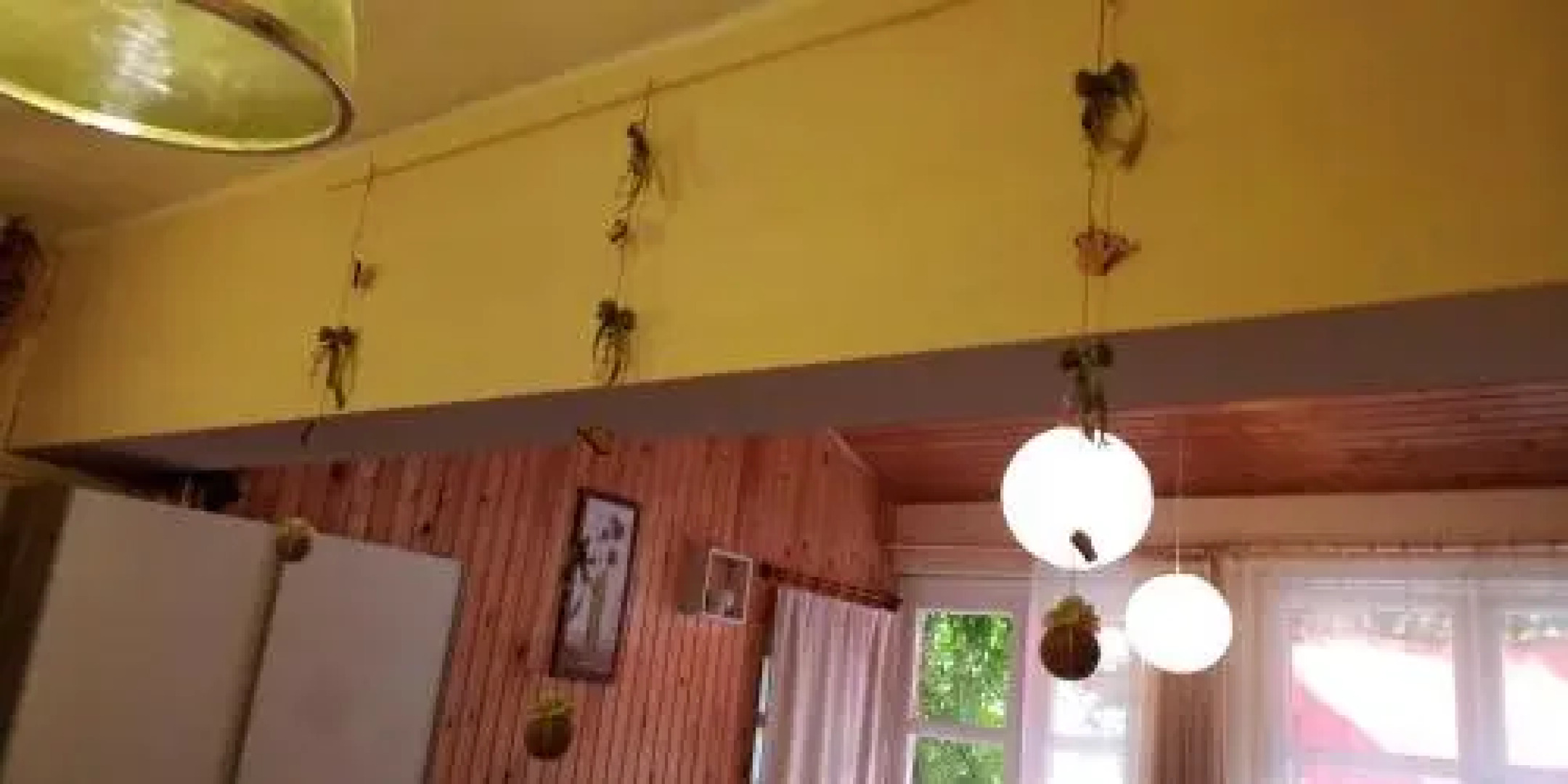 Vadszőlő Vendégház