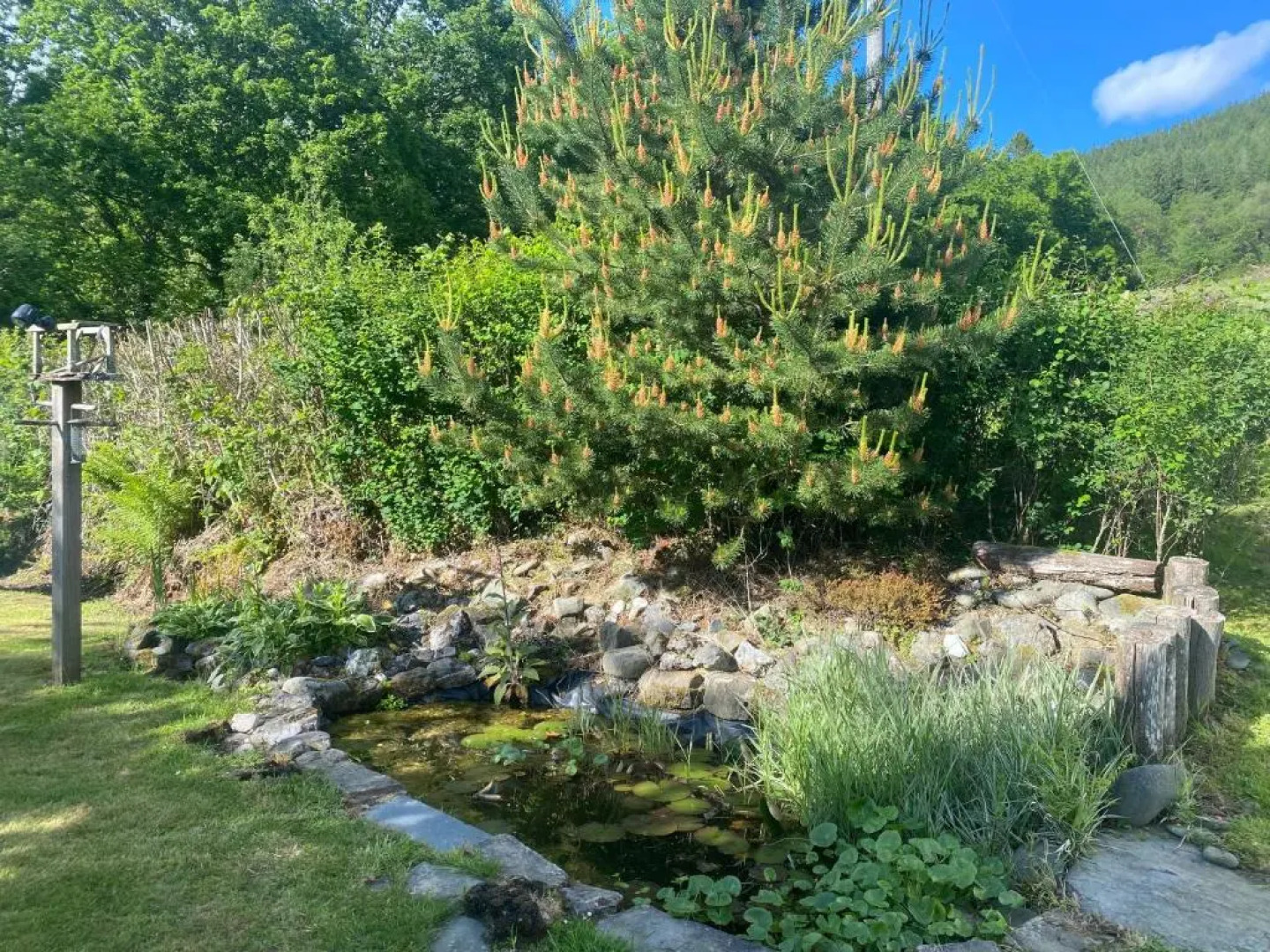 Traditional 18th Century Welsh Cottage