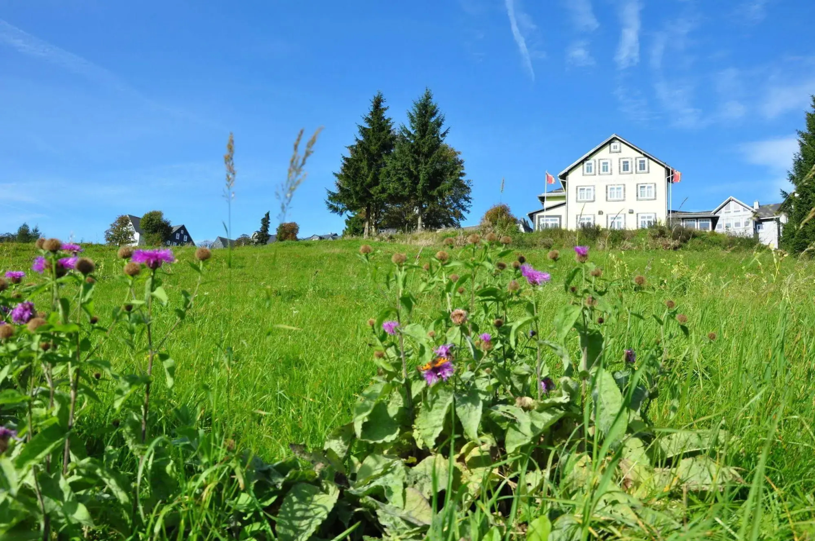 Hotel Schöne Aussicht