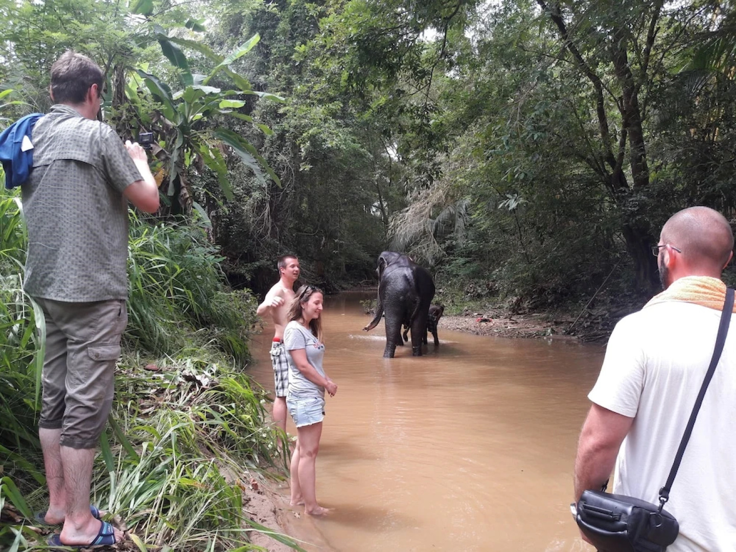 Eagle Safari Family Bungalow Udawalwe