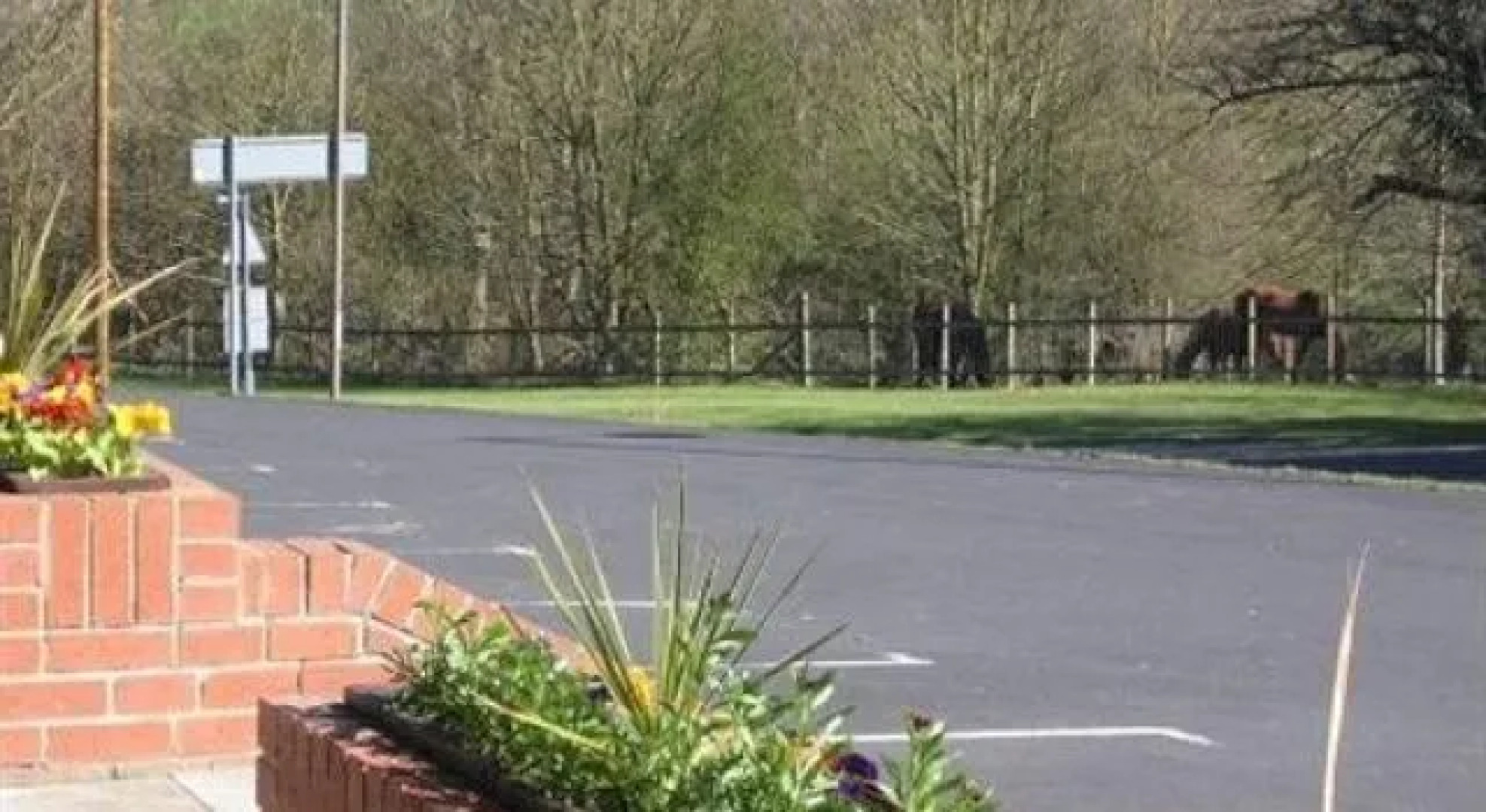 The Swan At Choppington