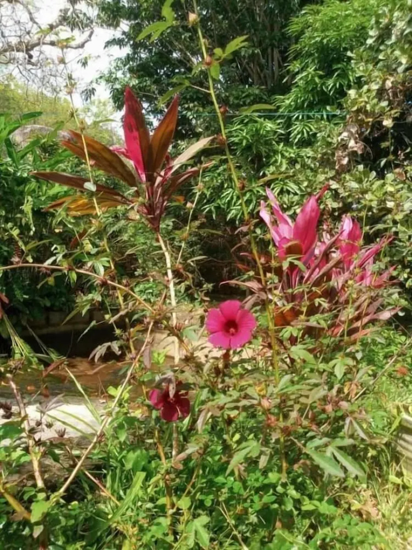 Pousada Aba da Serra