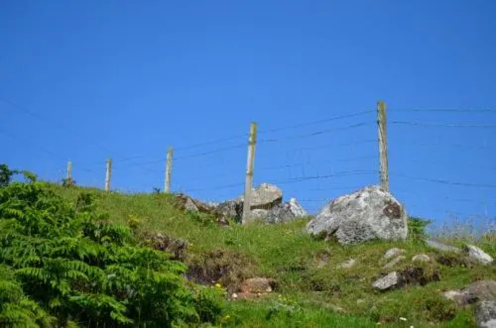 Highland Holiday House