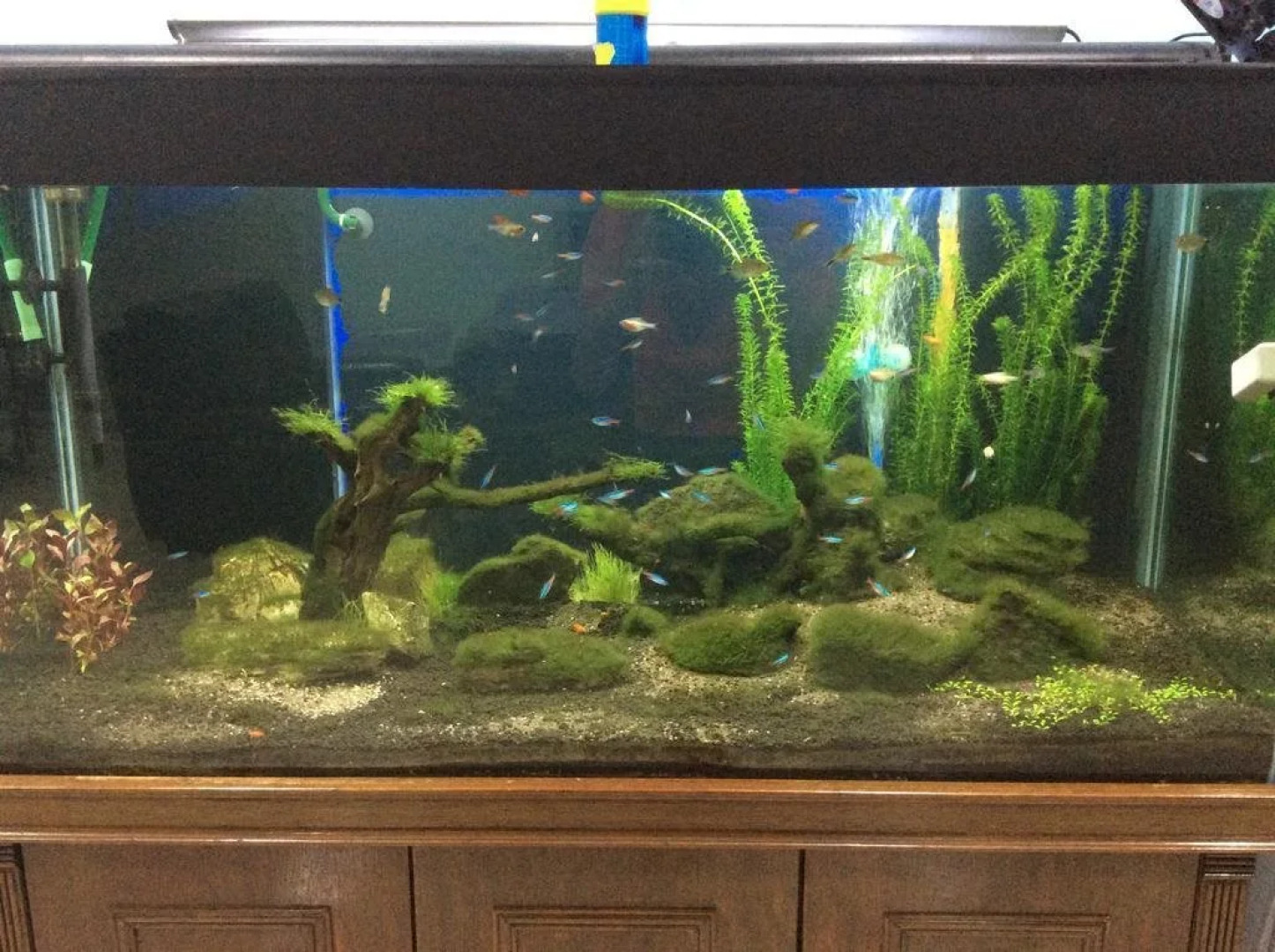 Melaka Homely Stay 22