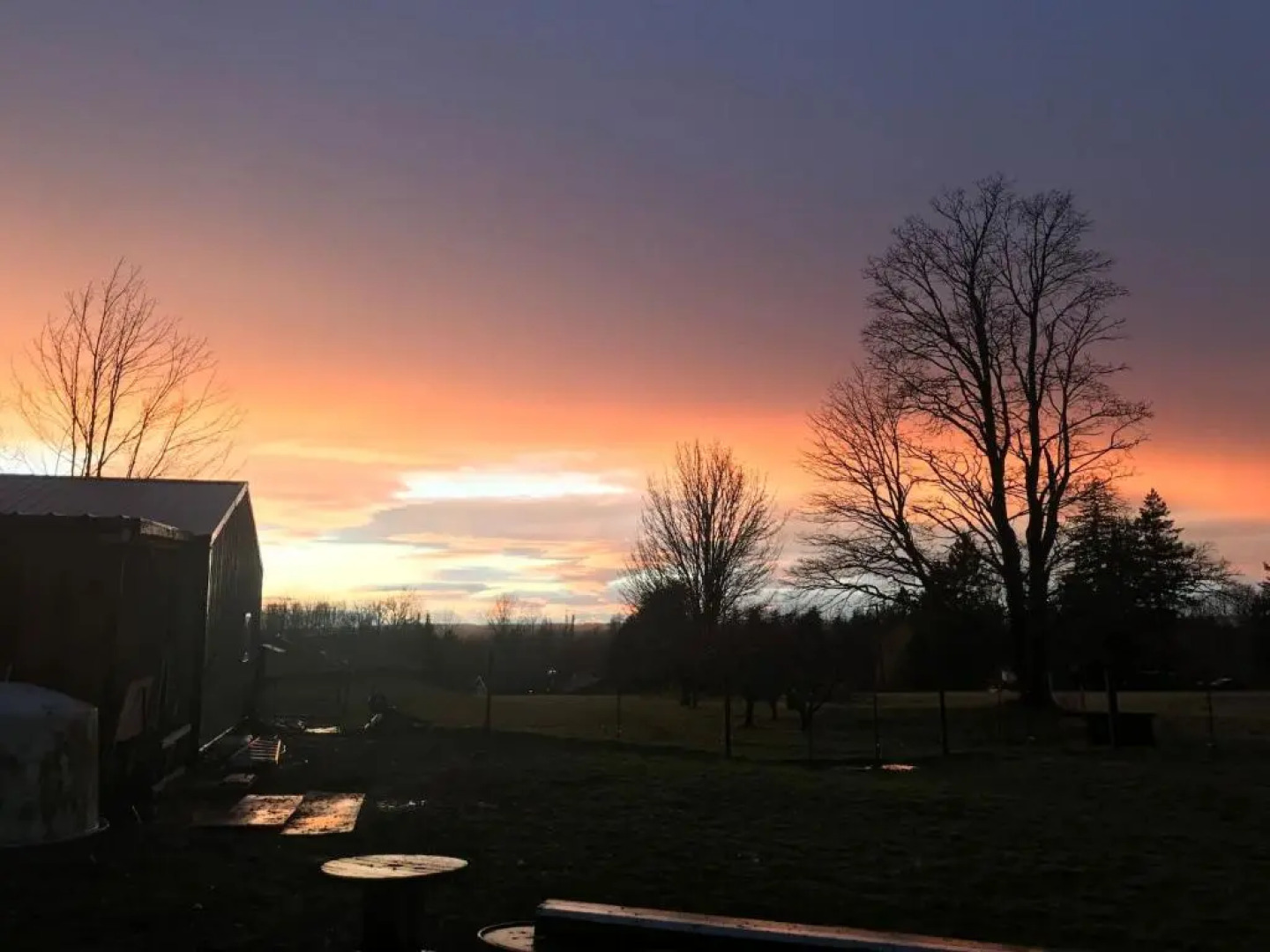 Goat Cottage Farms babies Coming Soon