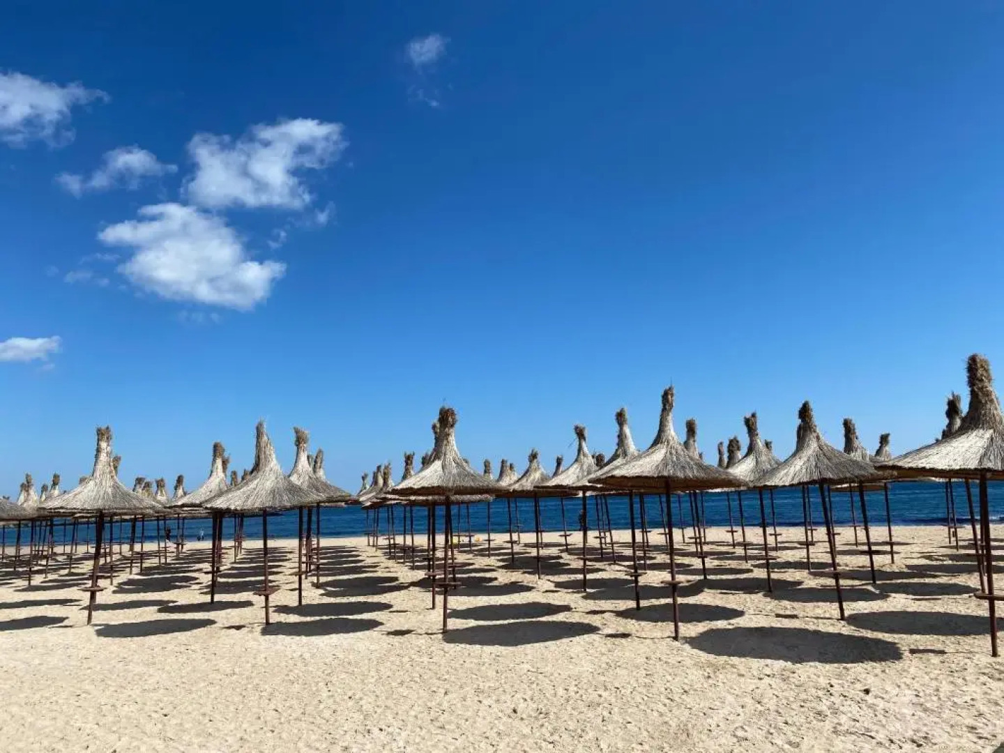 Kallatia Studio Saturn