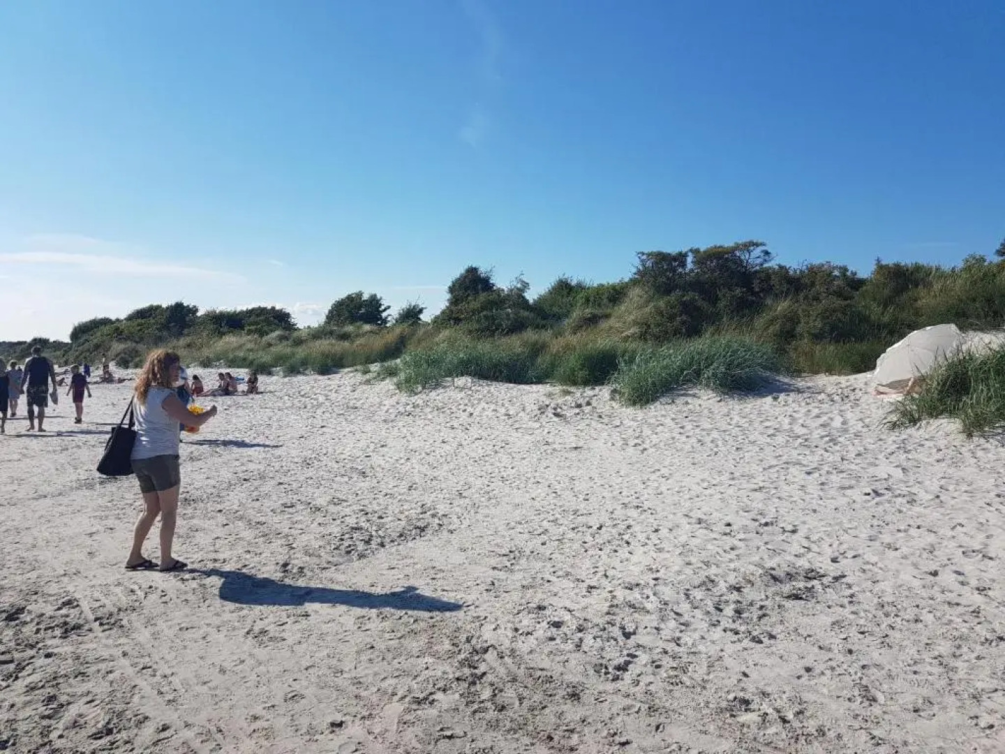 Klintholm marina park Cabins