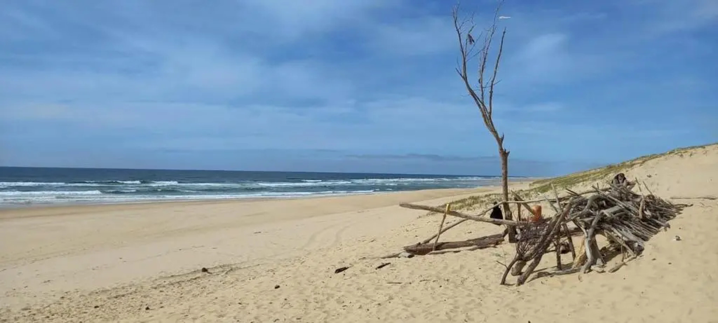 Very Nice Wood Frame House With Garden