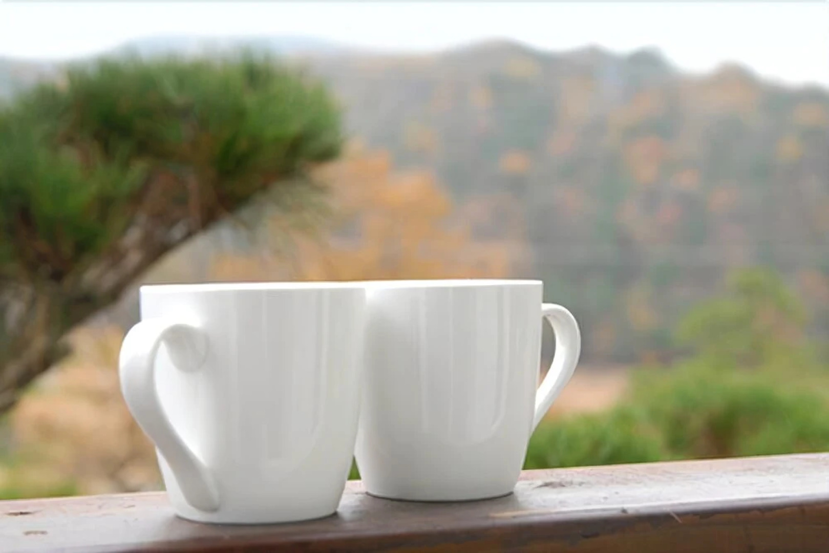 Seosan Dodam Star Pension