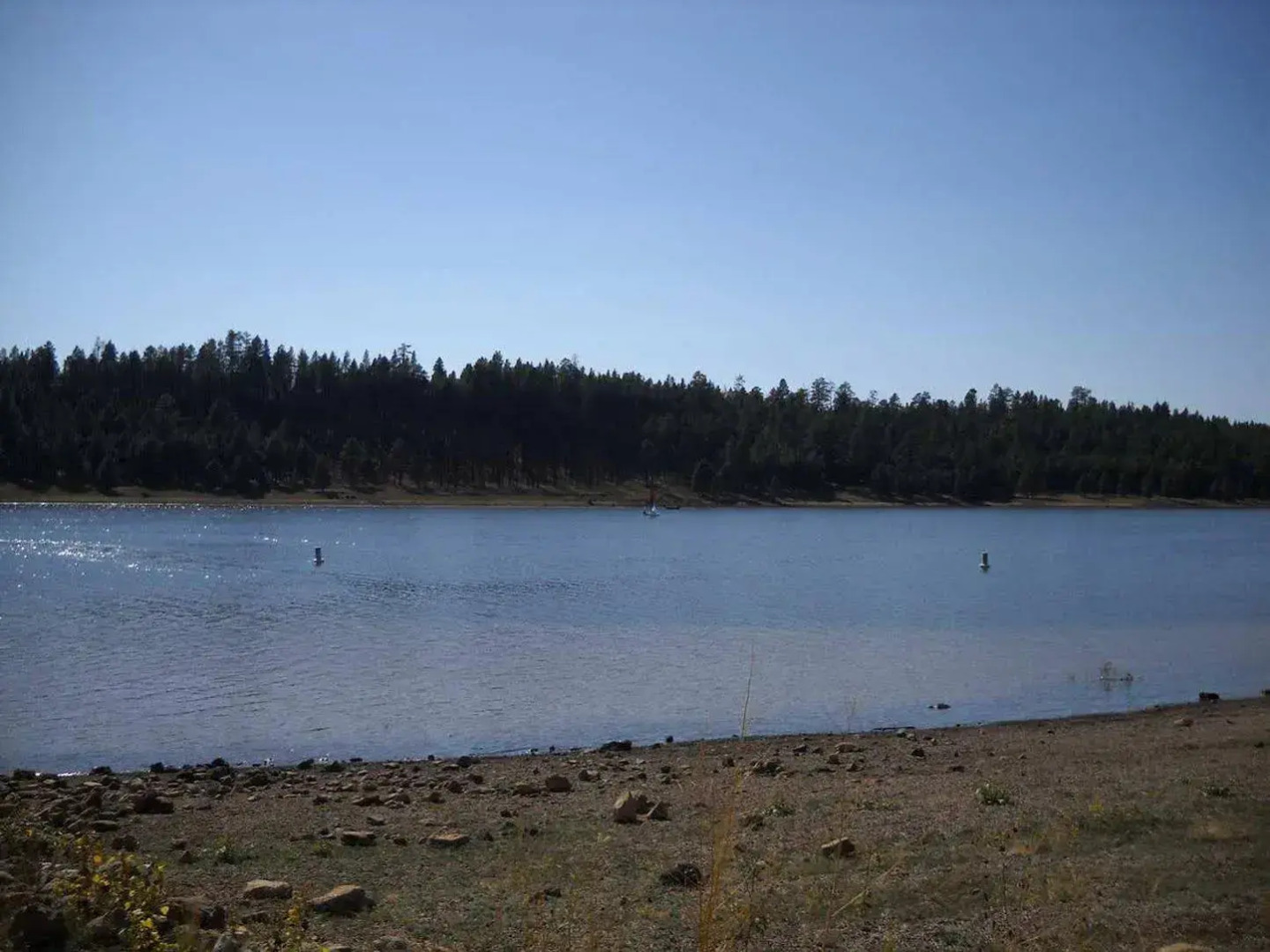 Hampton Inn & Suites Flagstaff