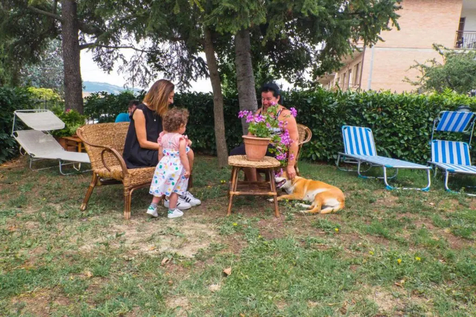 Affittacamere Albafiorita