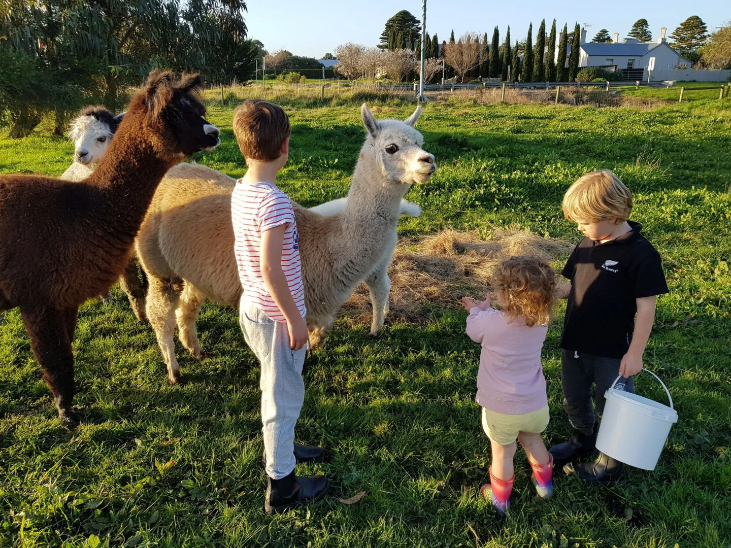 Clonmara Country House & Cottages