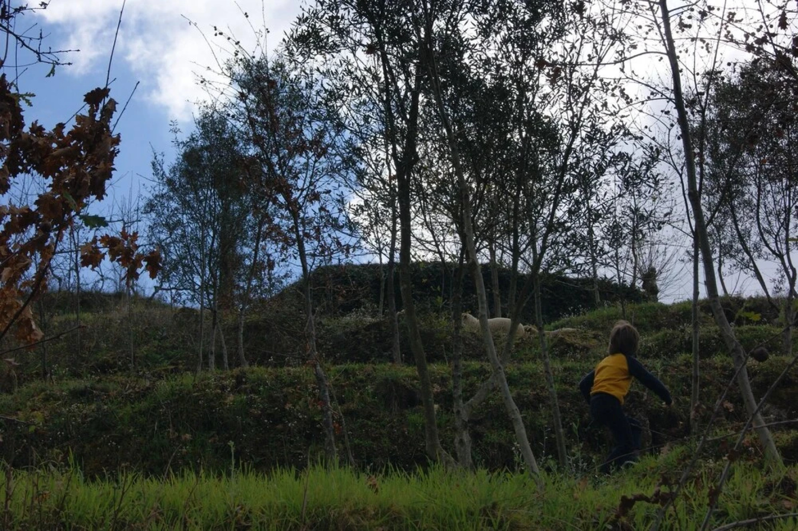 House With 2 Bedrooms in Celorico de Basto, With Wonderful Mountain Vi