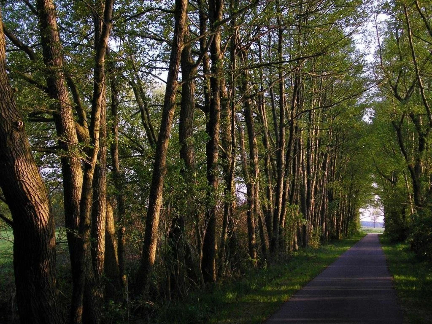 Parkhotel Schönewalde