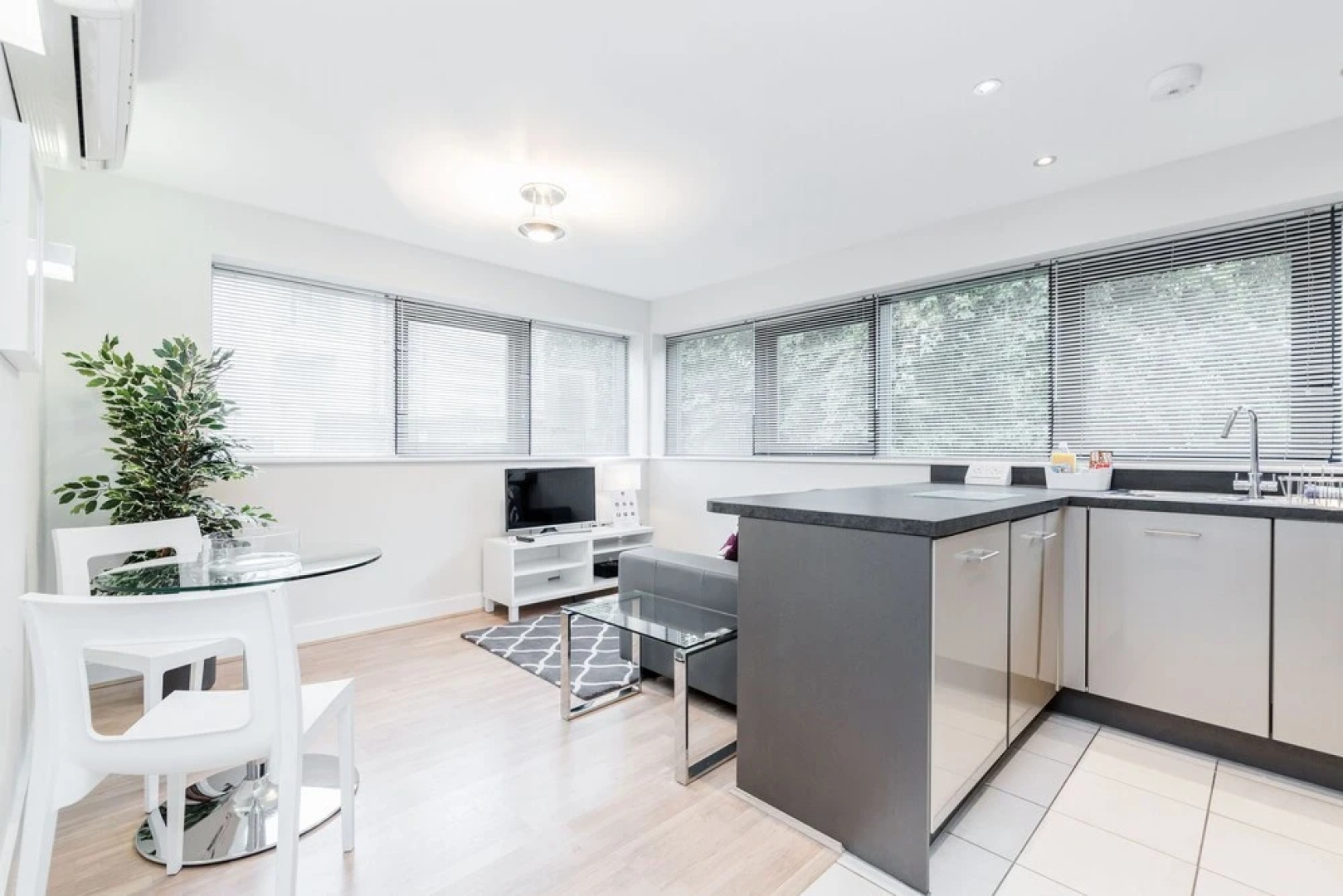 Roomspace Apartments -New Manor House