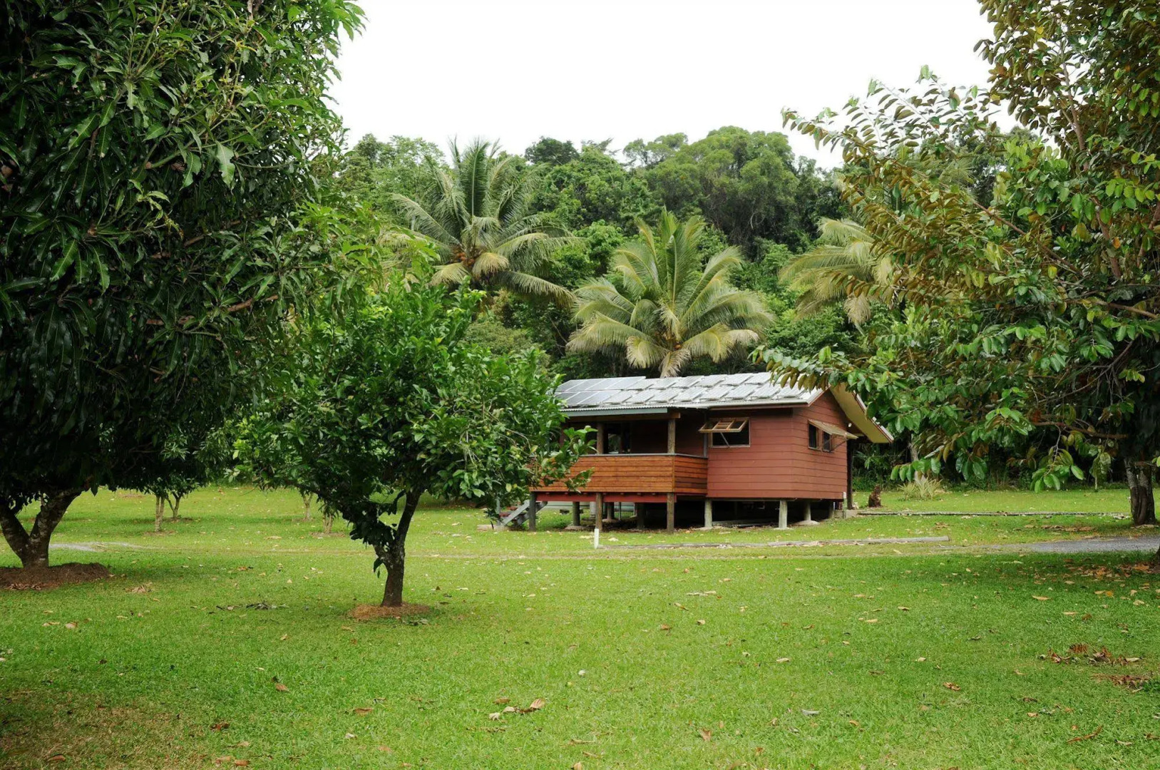 Daintree Rainforest Bungalows