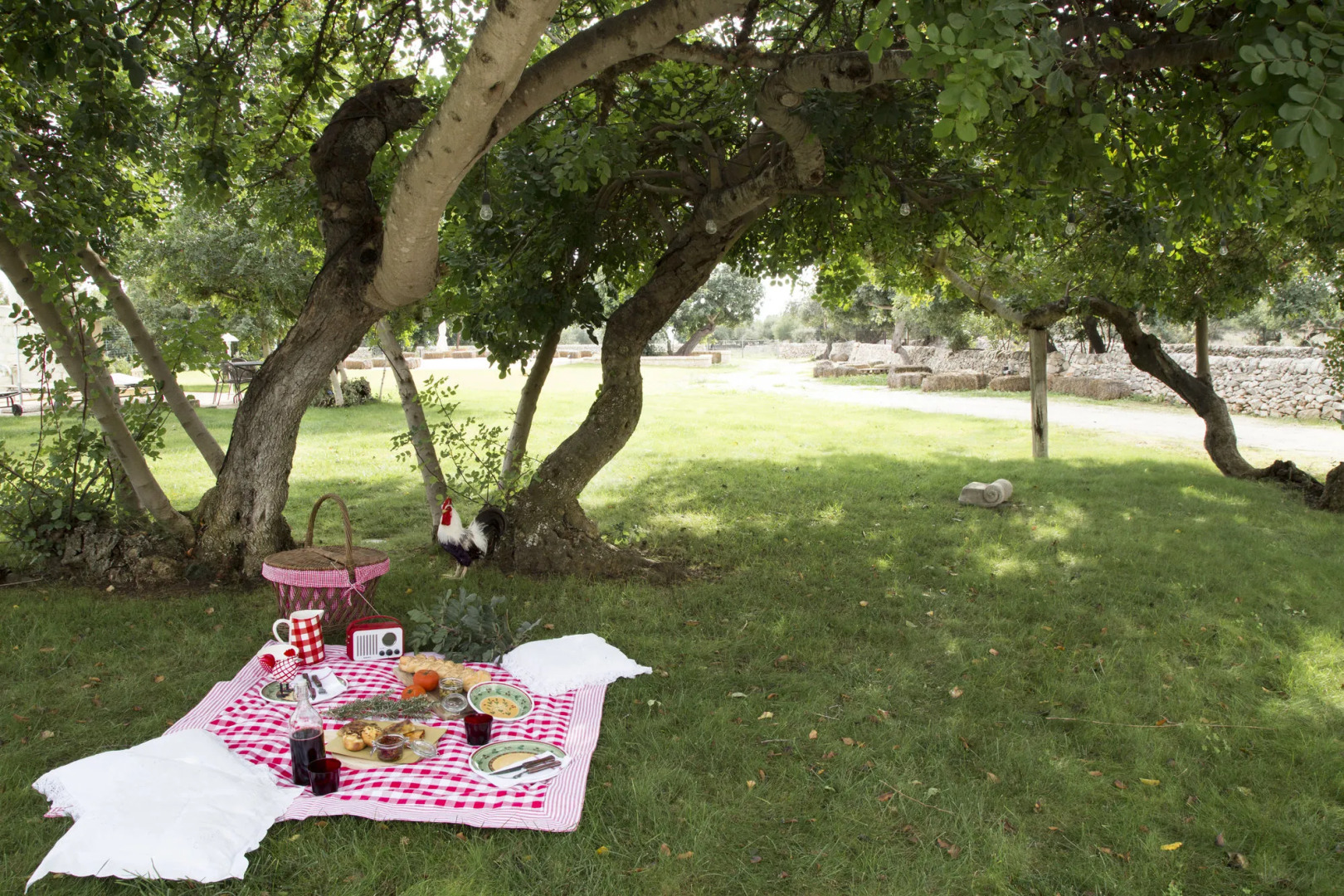 Agriturismo Masseria Cianciò