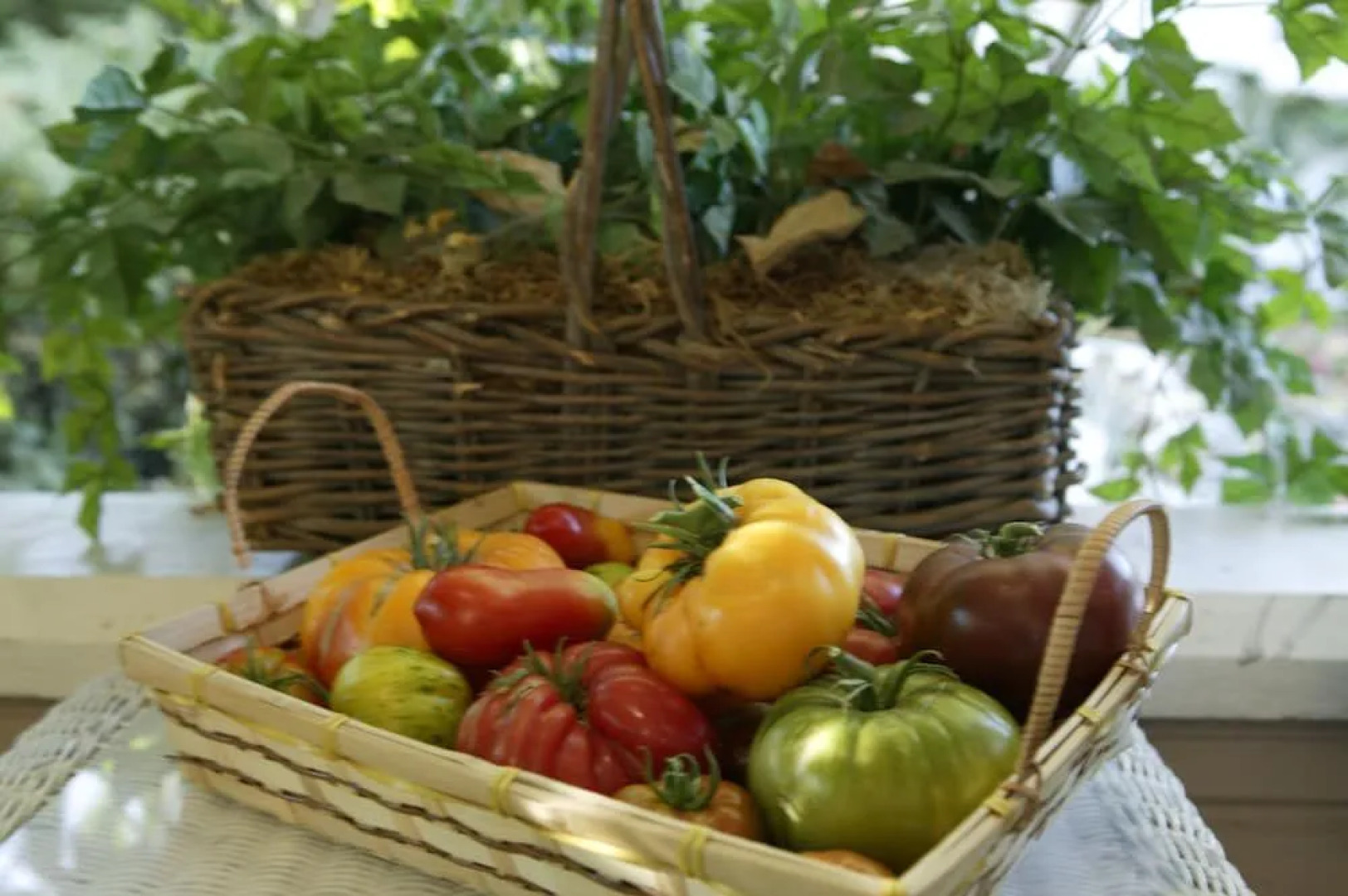 Kelley & Young Wine Garden Inn