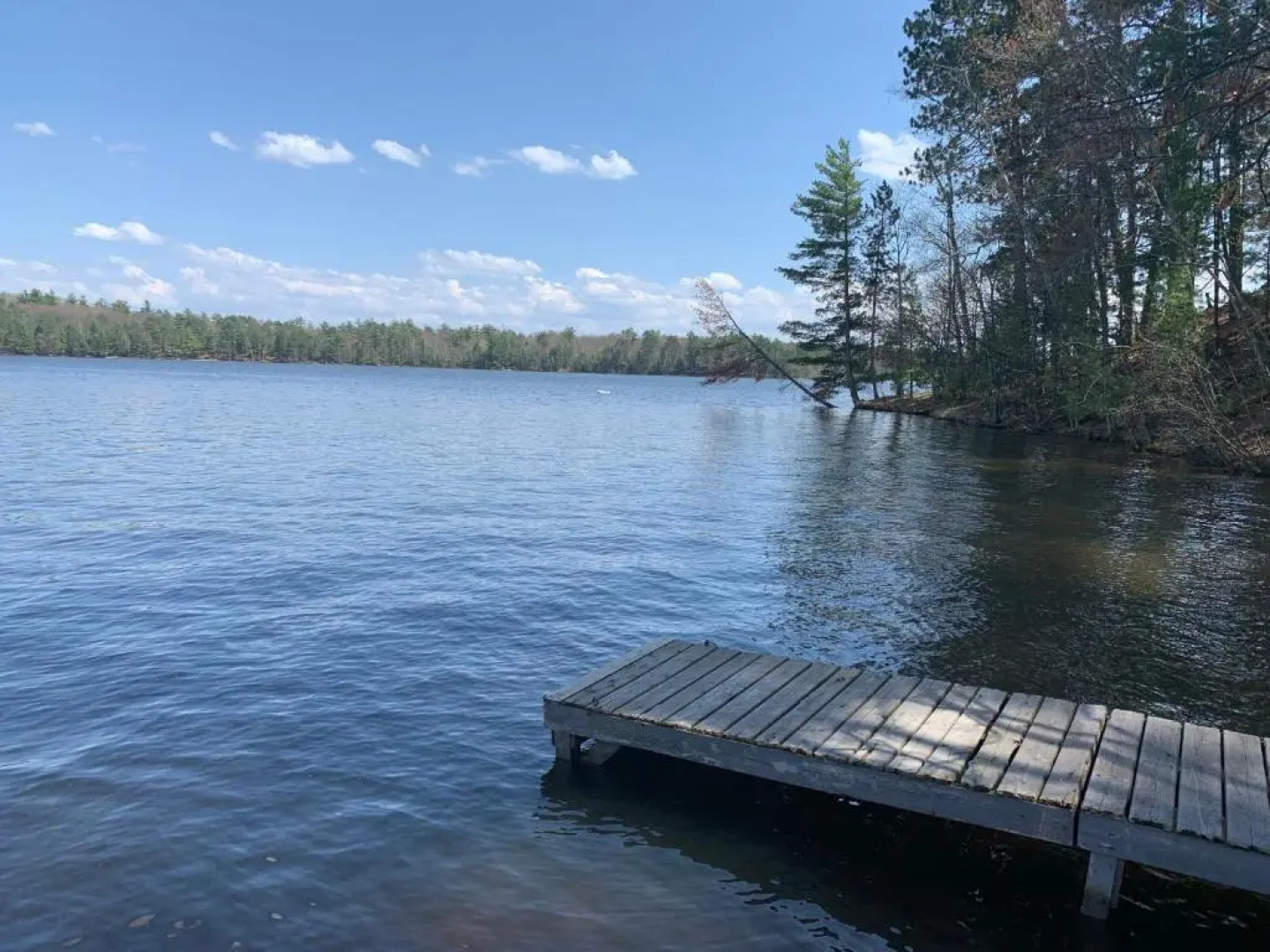 Black Bear Lodge Bear Trap #3