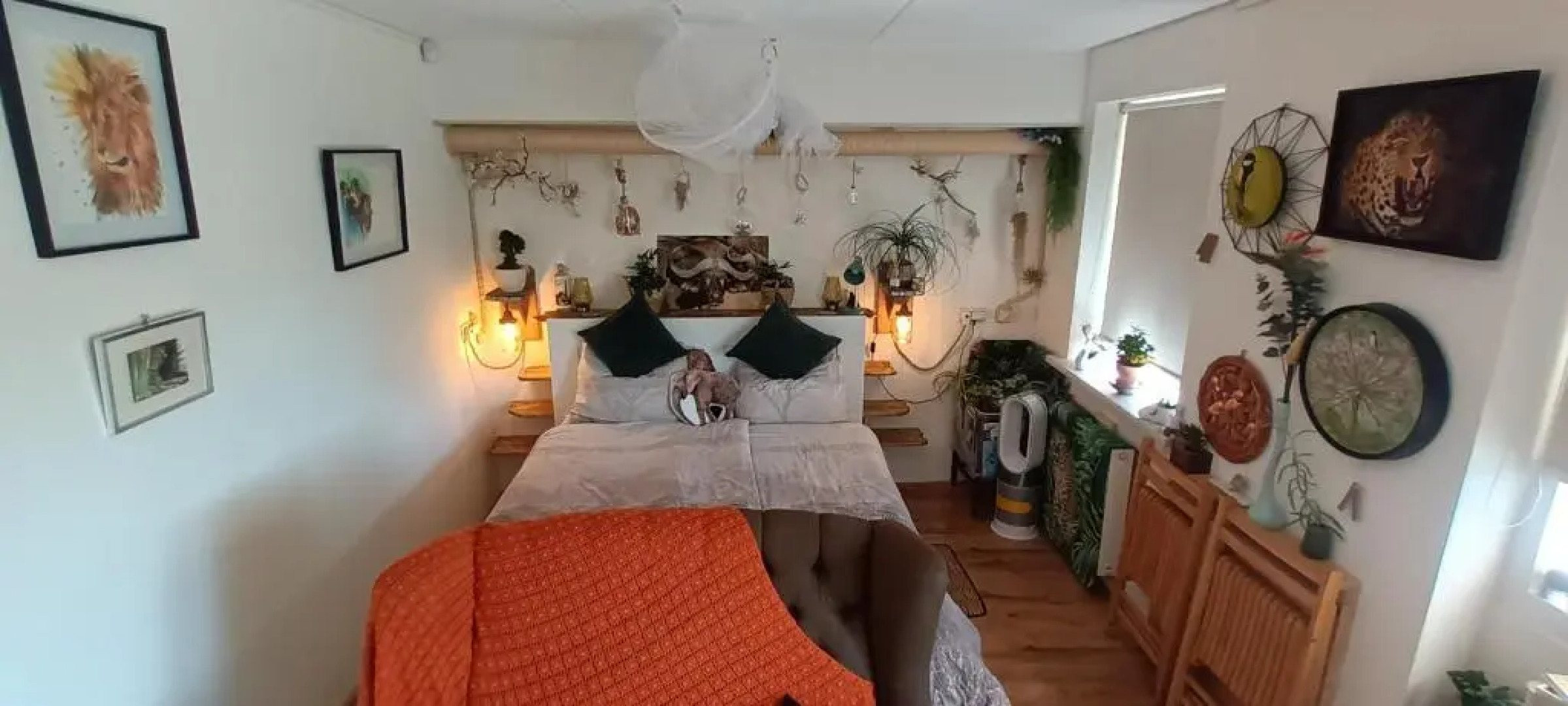 Dutch African Breeze