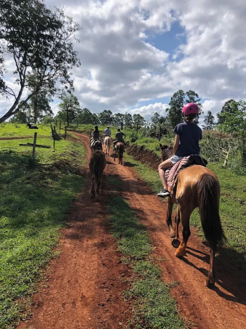 Piedra y Agua Eco Lodge