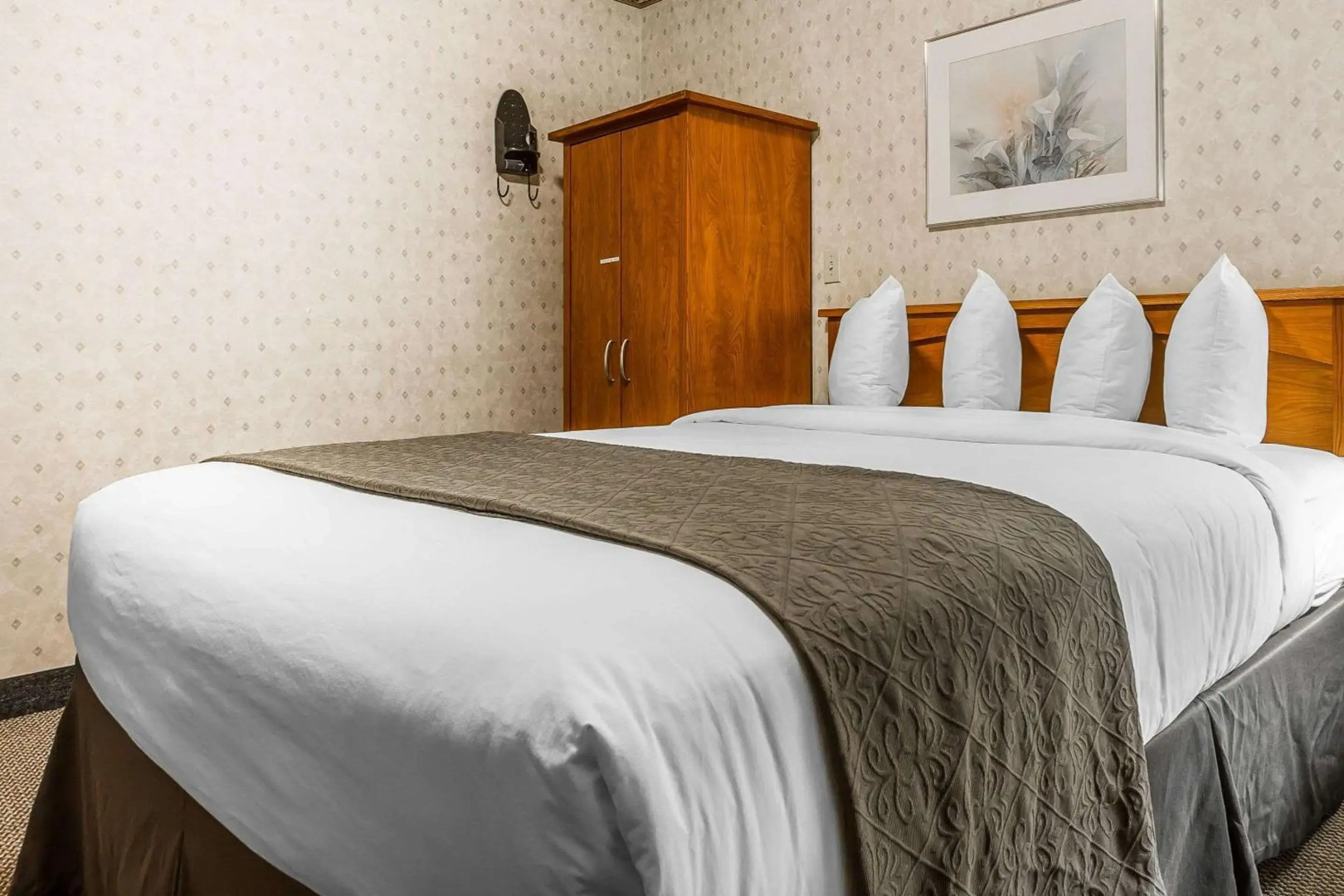 Quality Inn & Suites Silicon Valley