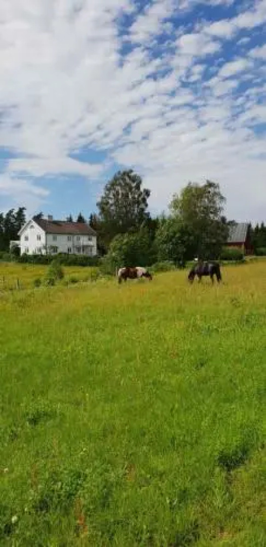 Höhällets Lantliga Rum