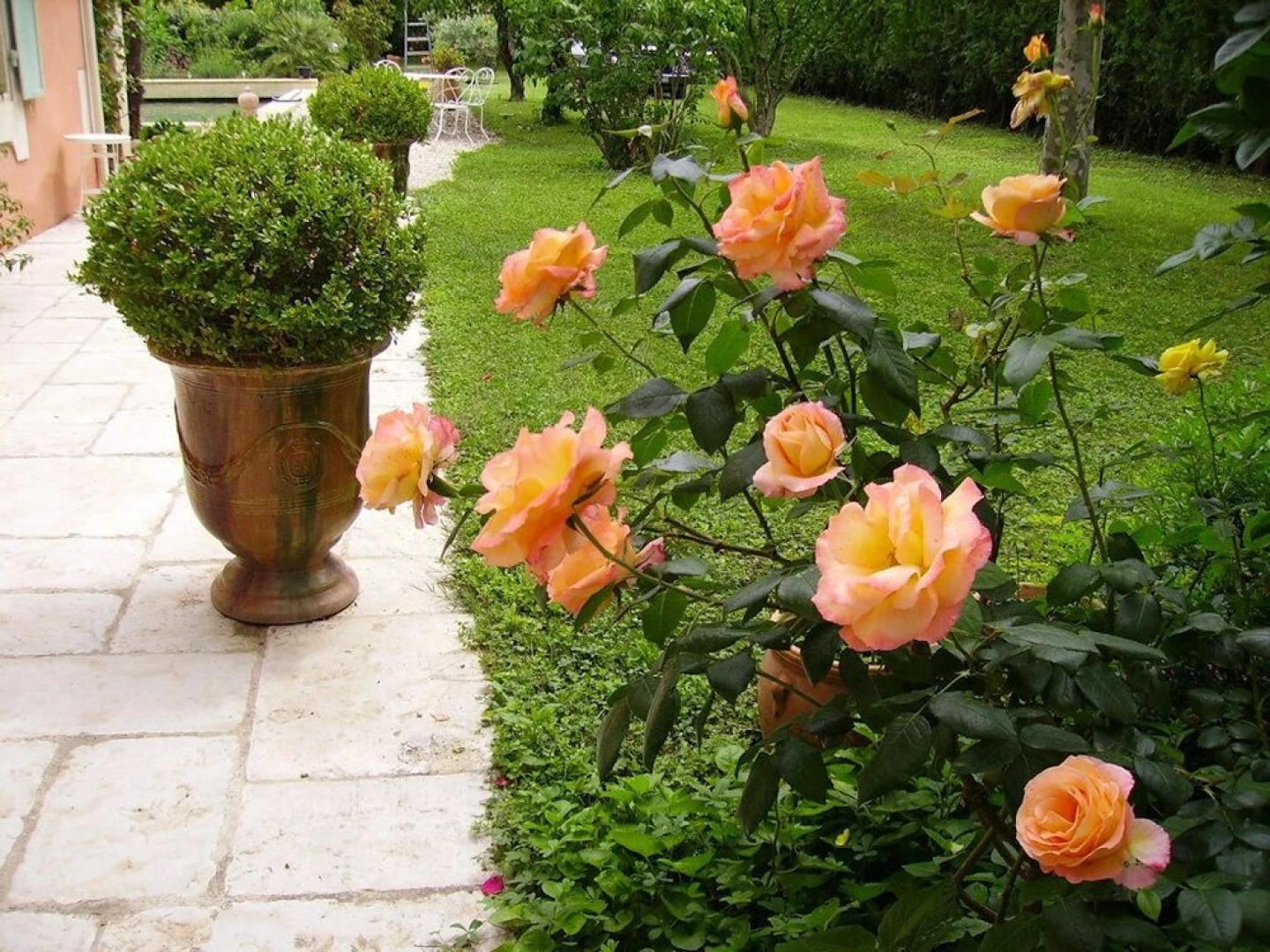 Chambres d'Hotes Mas Les Piboules