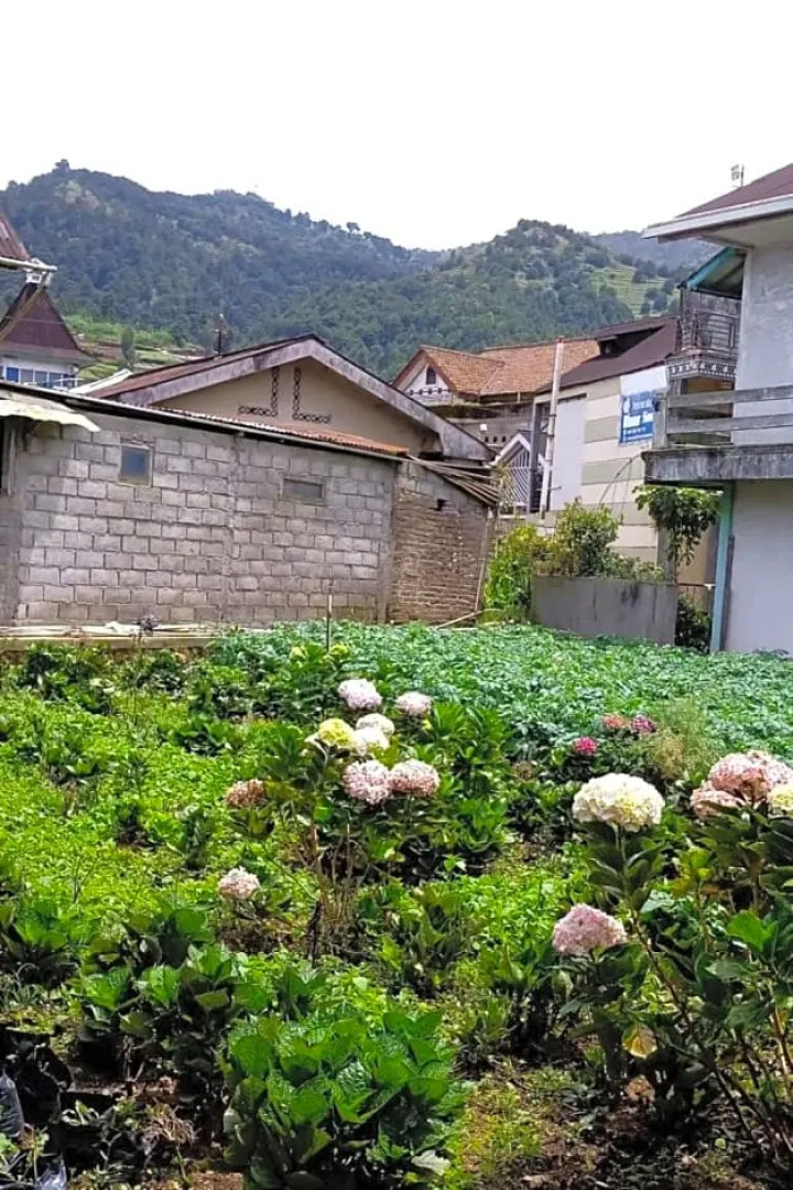 Pelangi Homestay by Luxury Degree