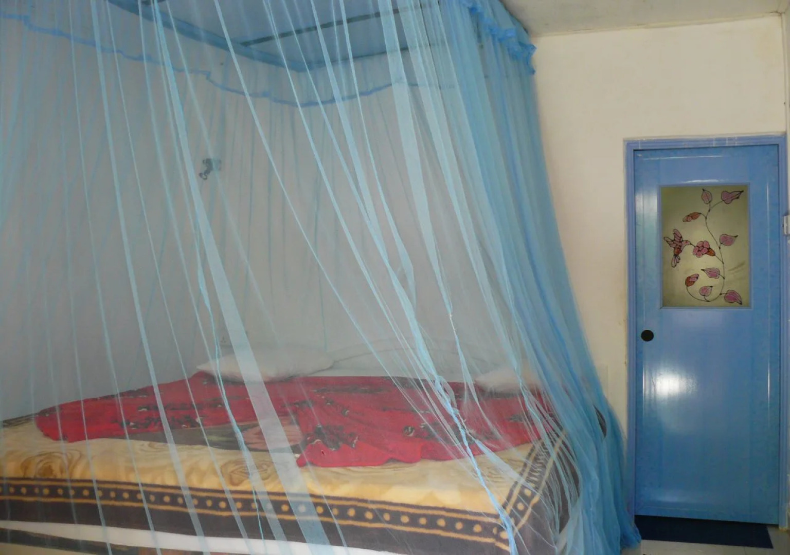 White House Adam's Peak