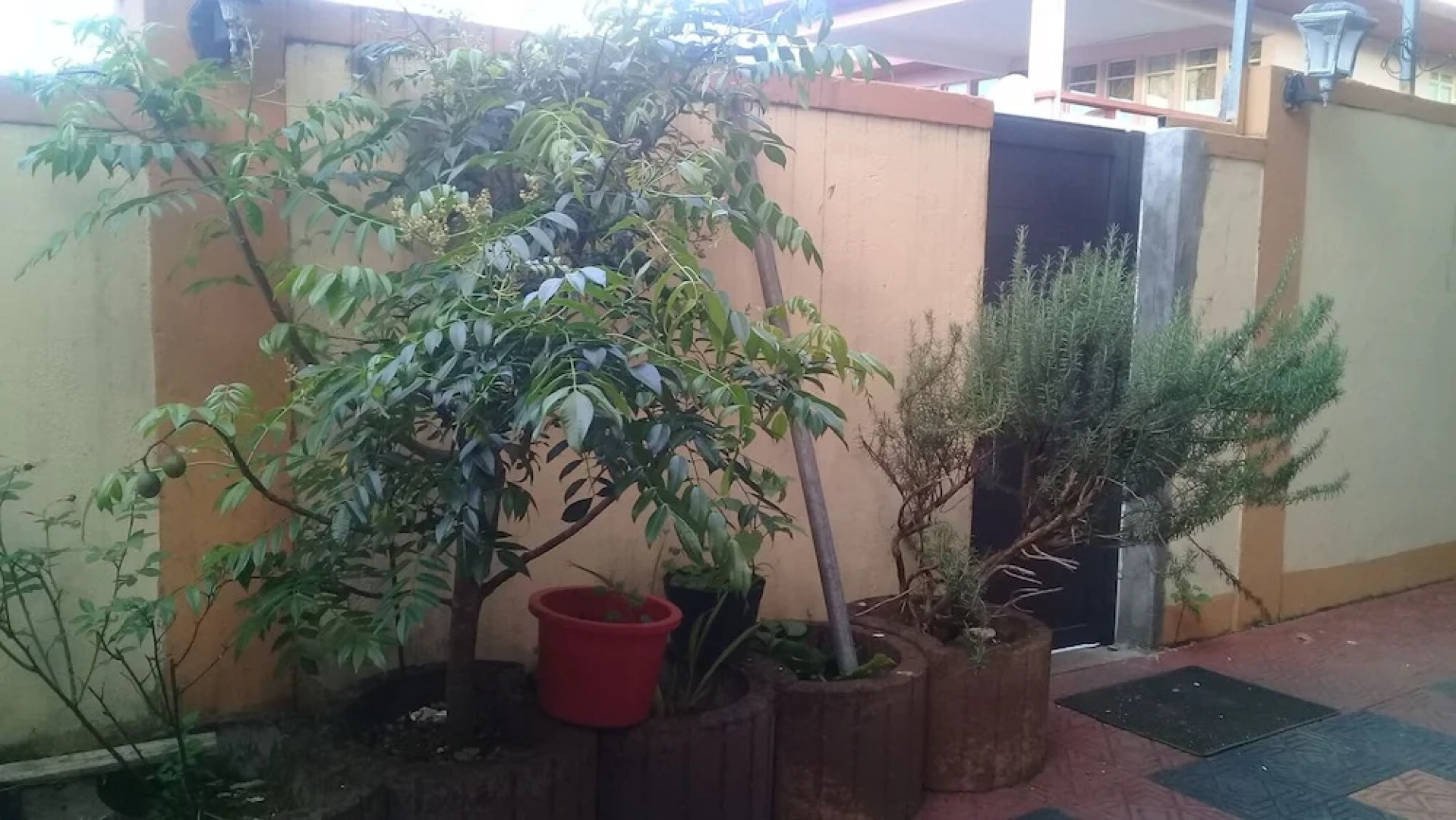 Paradise Resting Home