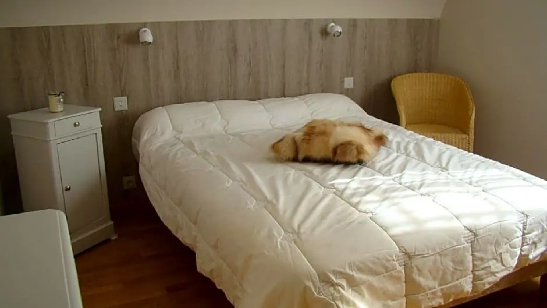 Chambres d'hôtes Le Bignon