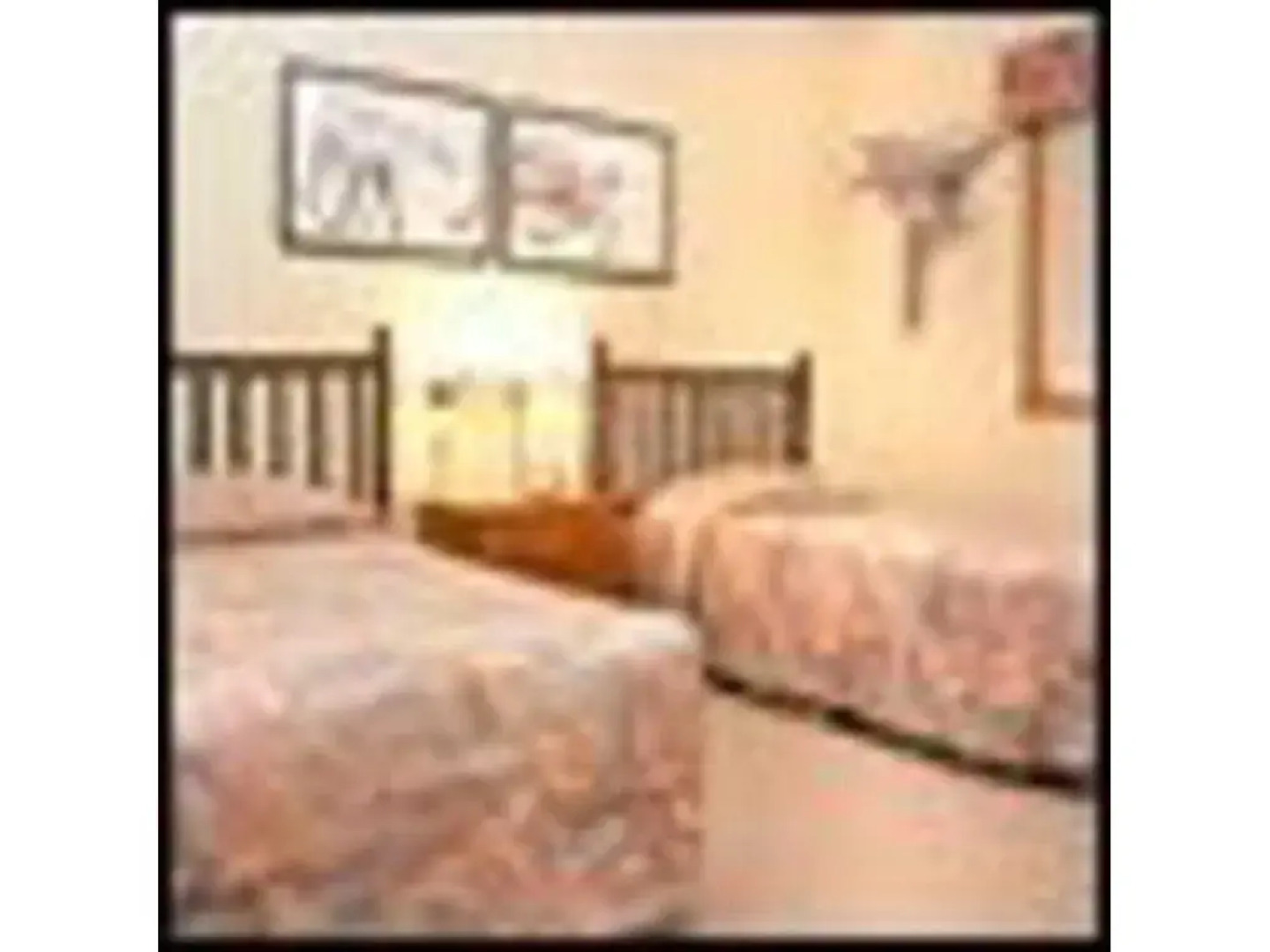 Snow Flower Condos by Steamboat Resorts