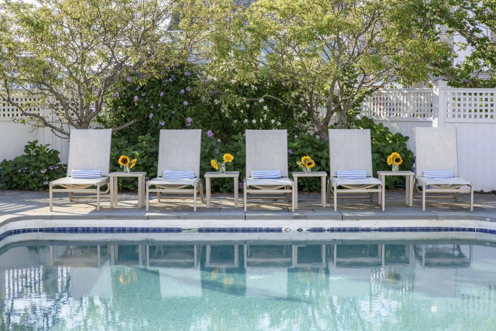 Faraway Martha's Vineyard