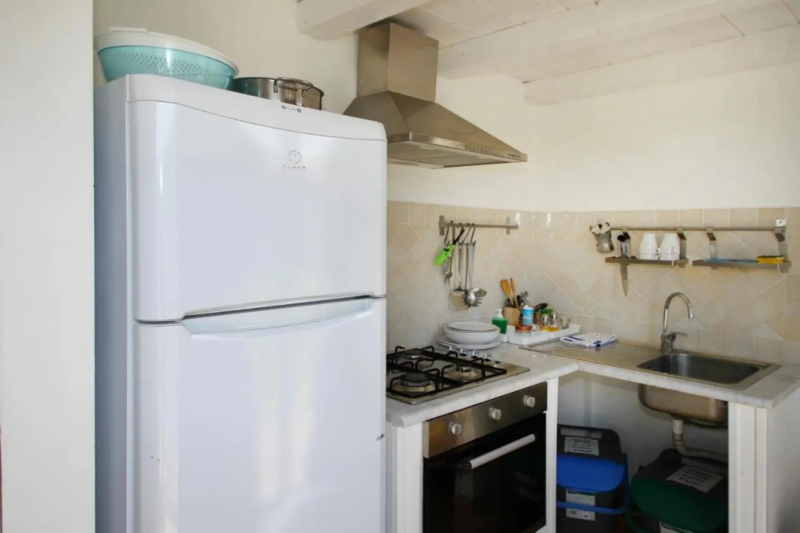 La Gabbianella E Il Gatto